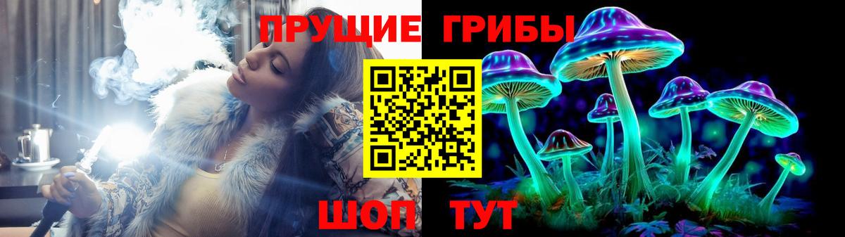 Галлюциногенные грибы Psilocybe  Вход с VPN  Ленинск-Кузнецкий 